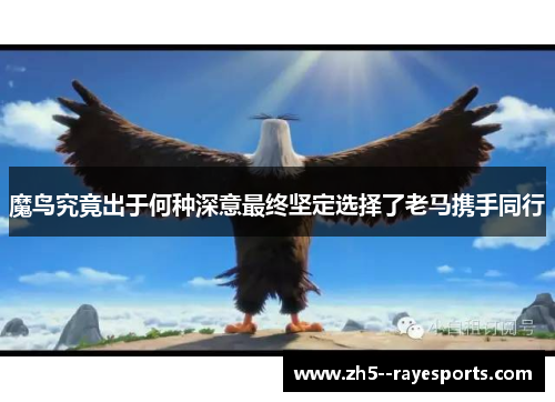 魔鸟究竟出于何种深意最终坚定选择了老马携手同行 魔鸟究竟出于何种深意最终坚定选择了老马携手同行